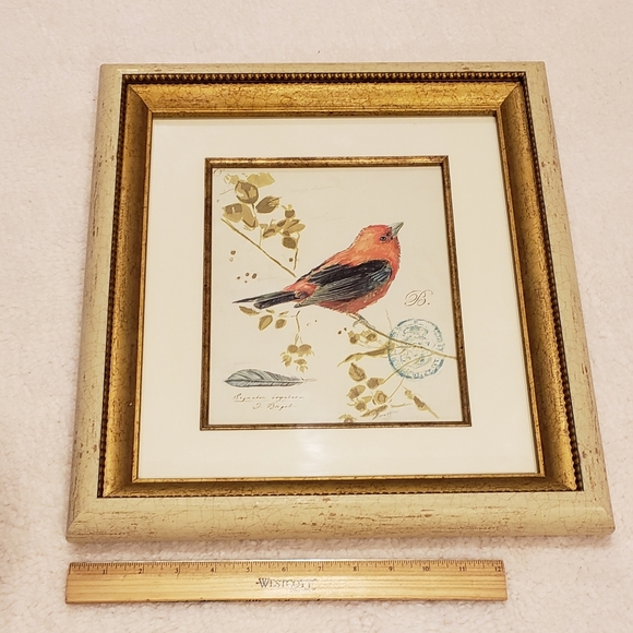 Bird picture. - Picture 6 of 9